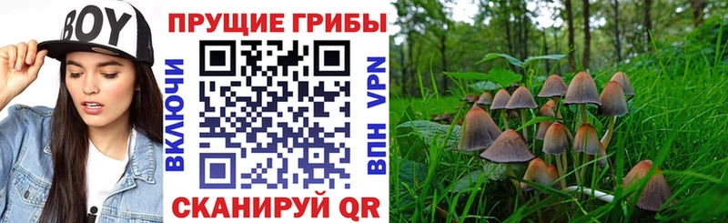 Галлюциногенные грибы мицелий Новый Оскол